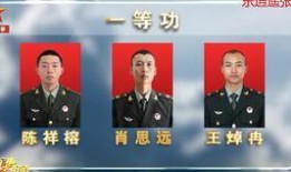 边境士兵爆料视频播放,揭秘真实战地生活与英勇瞬间