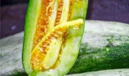 网红吃瓜网官网进入,揭秘娱乐圈最新热点，带你畅游八卦海洋