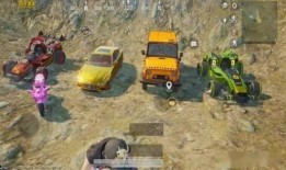 吃鸡载具新皮肤爆料最新,吃鸡战场再添亮丽色彩